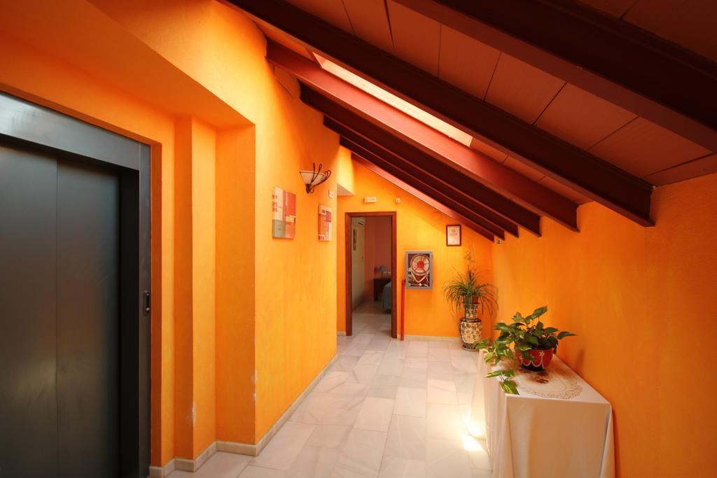Guest house Niza